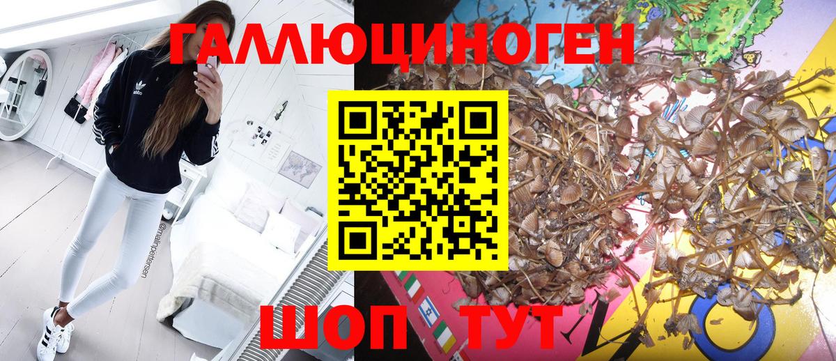 Галлюциногенные грибы мухоморы Топки