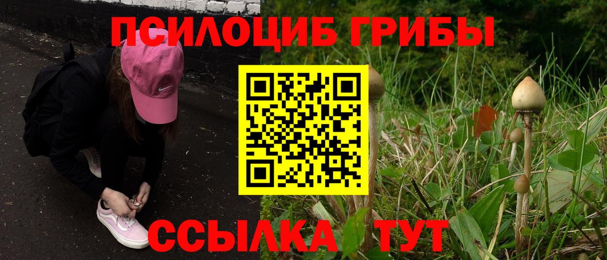 Топки  Псилоцибиновые грибы мухоморы  Вход с VPN 